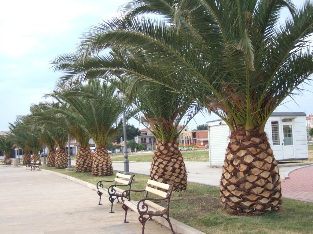 Apartment Apartmani Kod Rade Pakostane